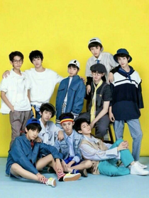 TF家族的小宠溺