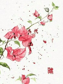 折芦花赠月，零洛一身秋