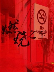 EXO燃烧之至