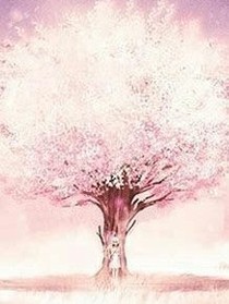 樱花树下我和她