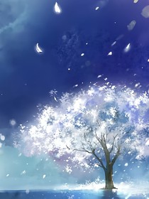冷色系的爱