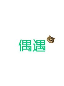 校园里的偶遇