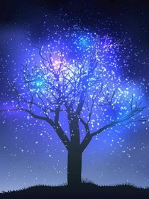 满天星之旋风少女
