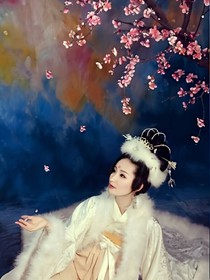 皇上的梅花
