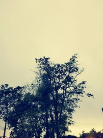 代價(jià)01