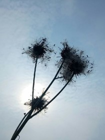 天给的季