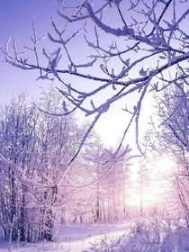 幻雪之城