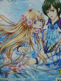 穿越之美人如花情似梦
