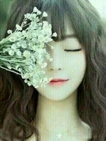 淺淺辰夜