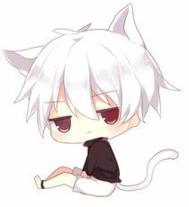 @呵呵@