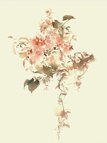 与明月