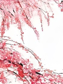 南齐传