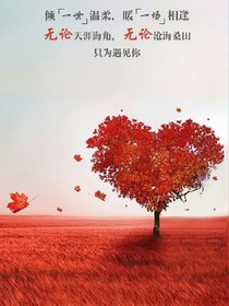 浮尘如梦：神君撩上瘾