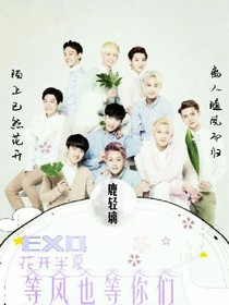EXO.花开半夏，等风也等你们