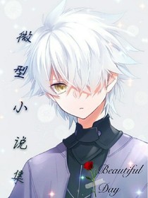微型小说集