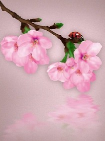 字的小说