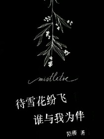 待雪花纷飞，谁与我为伴