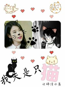 我夫是只猫_d334