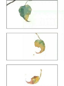 木星合月