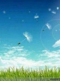 破晓之迷世仙
