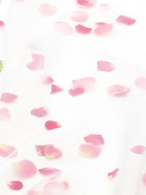 我去！这年头天使不好当啊？