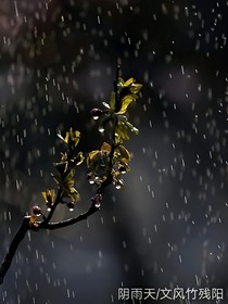 阴雨天