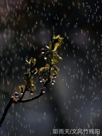 阴雨天