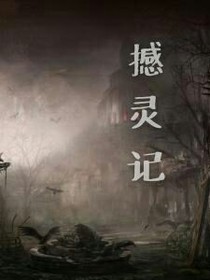 撼灵记