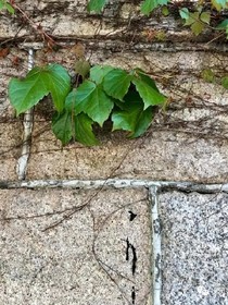 春风星辰，暖又凉。