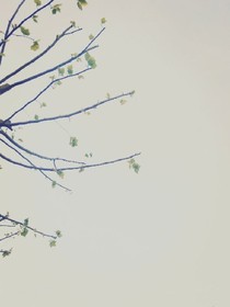 途站