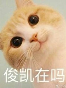 小凱和小貓豬豬？！