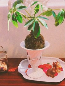 迷茫~尋找救贖