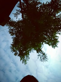 遇見(jiàn)！