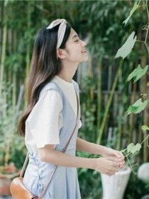 TF血脉的注定