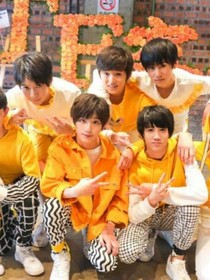 TF家族之沫.影