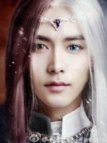 重生八零军长夫人