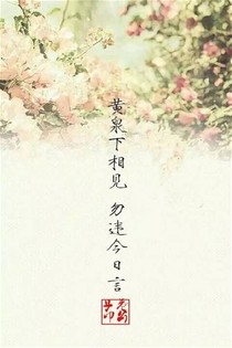 凉情薄物