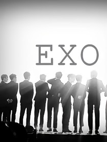 EXO之霸氣總裁寵寵寵