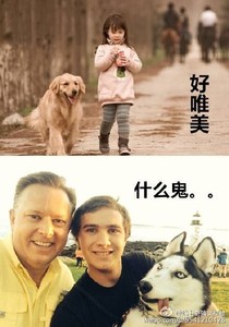逗比一家的日常