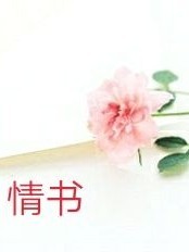 辛苦了（情书）
