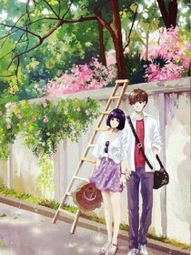 后來，沒有辰星和琉年