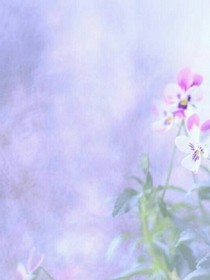 校園愛情之三伙伴