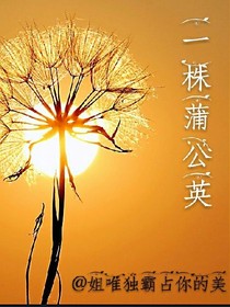 一株蒲公英