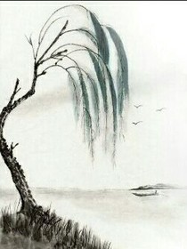 转世之槐香满缘
