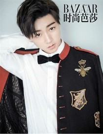 凯少之火辣小娇妻