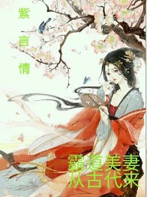 紫言情金（霸道美妻從古代來）