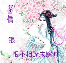 紫言情銀（恨不相逢未嫁時(shí)）