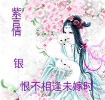 紫言情银（恨不相逢未嫁时）