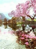 桃夭：嫡女天下
