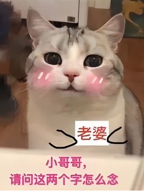 倾城大小姐：娘子不好惹